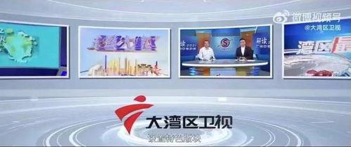 大湾区卫视爆料新闻,重大新闻事件深度解析 第3张 大湾区卫视爆料新闻,重大新闻事件深度解析 第3张