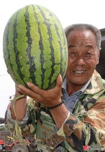 武安吃瓜爆料最新,揭秘娱乐圈最新热点事件