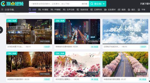 爆料类型的视频素材,视频素材背后的惊人真相 第3张 爆料类型的视频素材,视频素材背后的惊人真相 第3张
