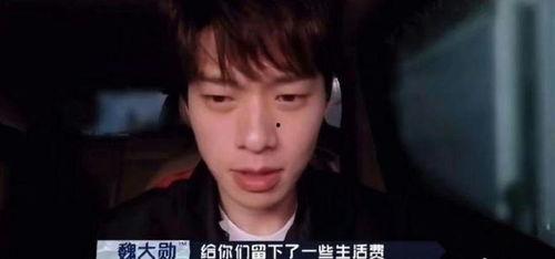 国外明星狗仔爆料视频播放,国外明星萌宠日常大揭秘